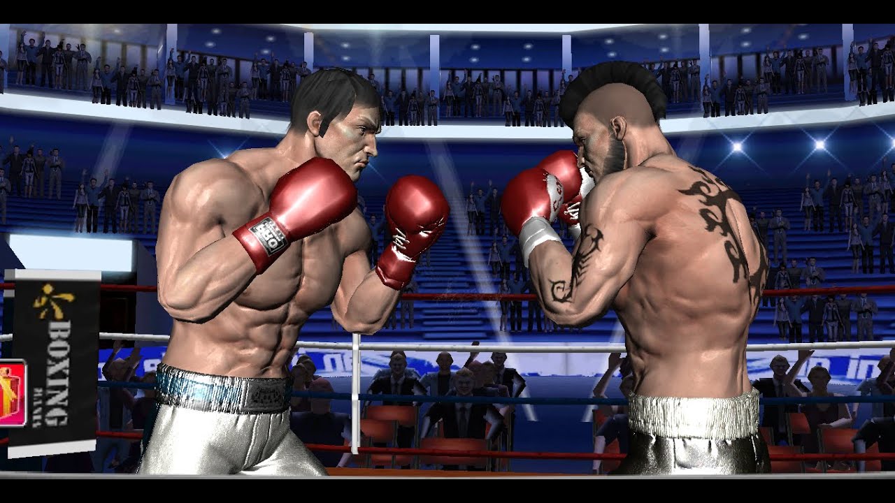 Punch Boxing 3D